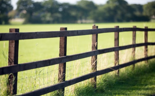 Quel matériau choisir pour ma clôture de jardin ? mon coach ... Clôture Bassin Créatif