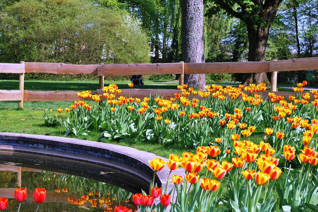 Aménager les berges d'étangMon Coach Jardin