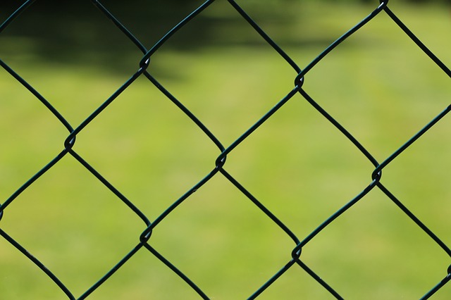 wire-mesh-fence-363497_640
