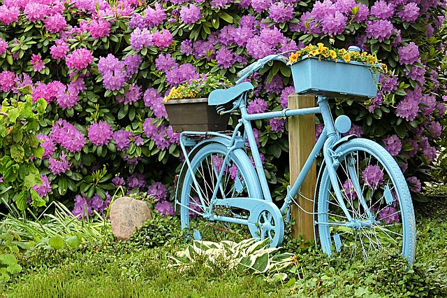 Créer son vélo décoratif de jardin : mode d'emploi - Mon Coach JardinMon  Coach Jardin