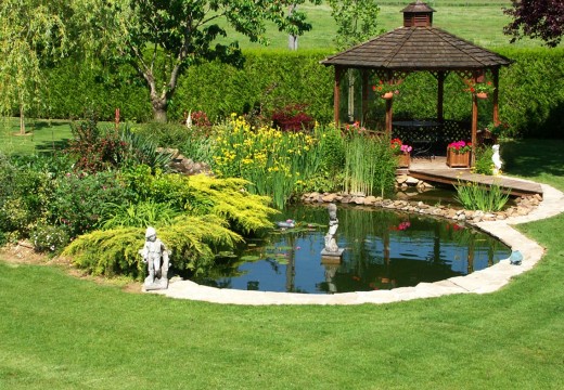 Installer un bassin dans son jardin