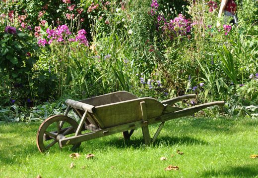 Comment sécuriser le jardin des intrusions ?