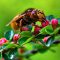 Quand faut-il mettre en place une stratégie anti-frelon au jardin ?
