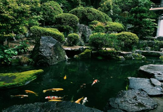 L’art japonais des bassins : inspirations pour un jardin zen